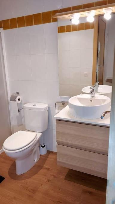 Precioso Apartamento Duplex En El Centro De Olot Apartment Ngoại thất bức ảnh